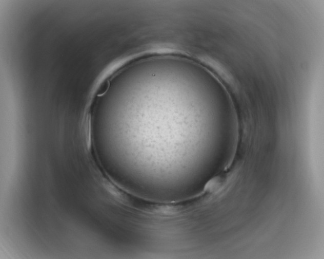 X0000115381175200911101300