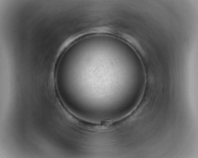 X0000115381176200911101300