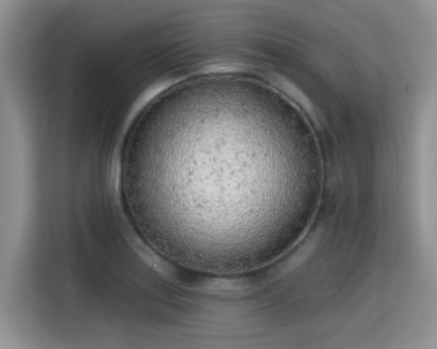 X0000115381179200911101300