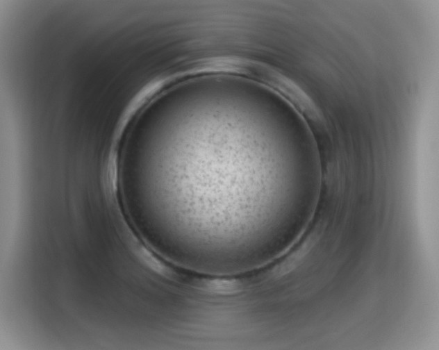 X0000115381180200911101300