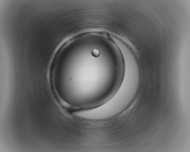 X0000115381181200911101300