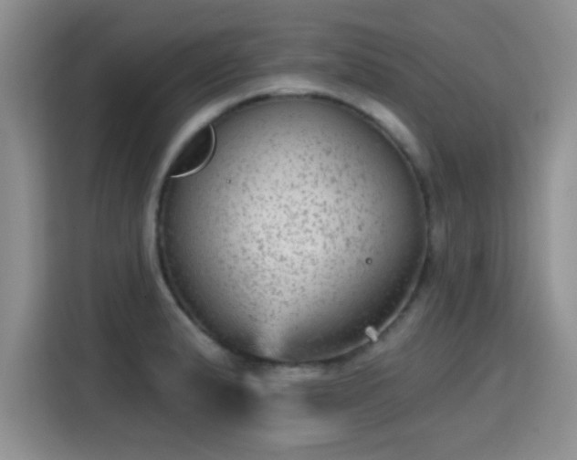 X0000115381183200911101300