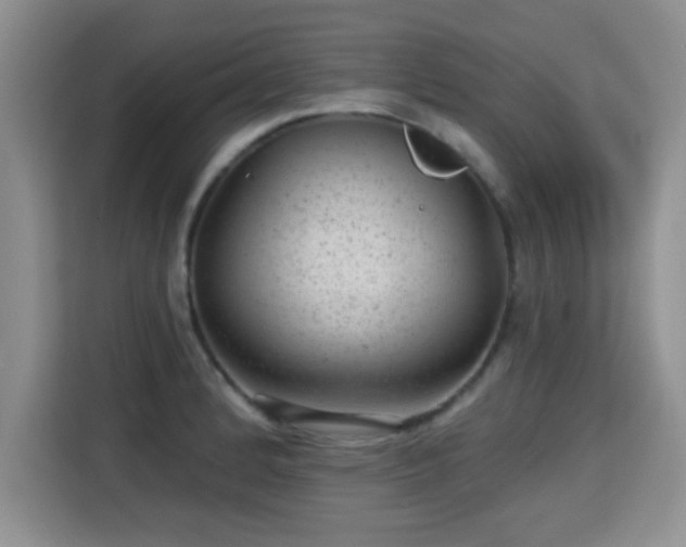 X0000115381184200911101300