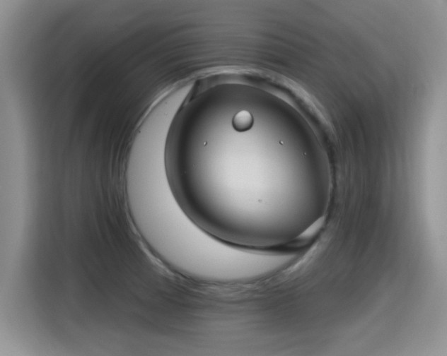X0000115381185200911101300