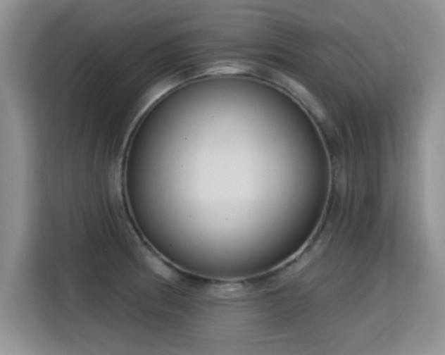 X0000115381186200911101300