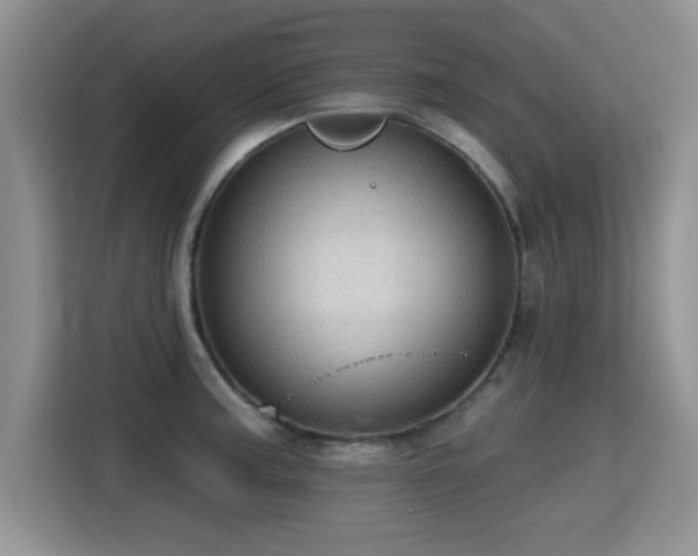 X0000115381187200911101300