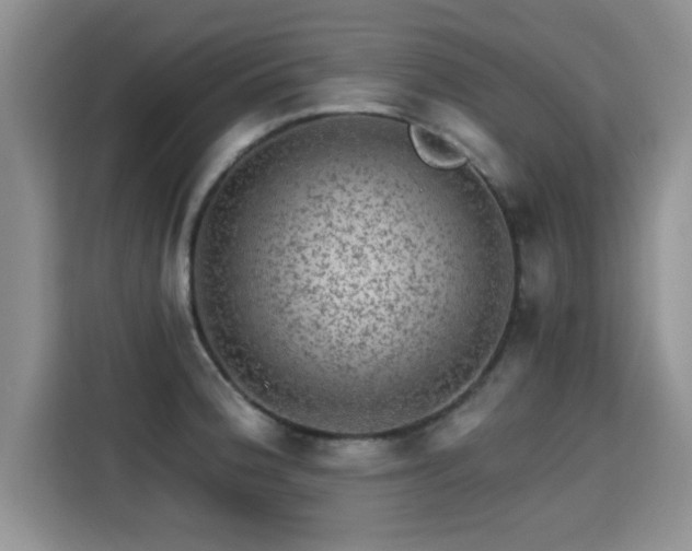 X0000115381188200911101300