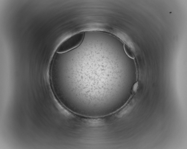 X0000115381189200911101300