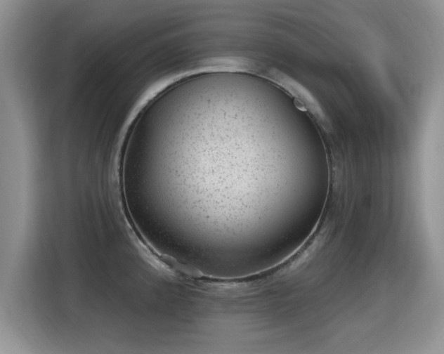 X0000115381192200911101300