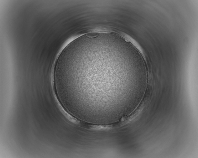 X0000115381195200911101300