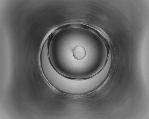 X0000115381196200911101300