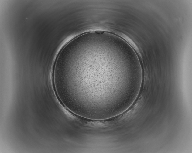 X0000115381197200911101300
