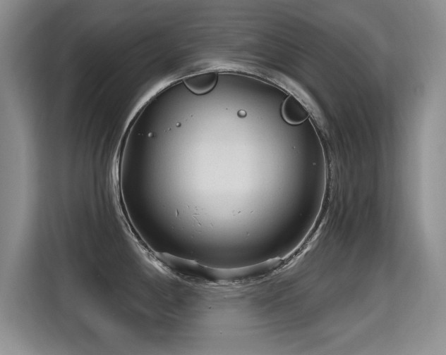 X0000115381198200911101300