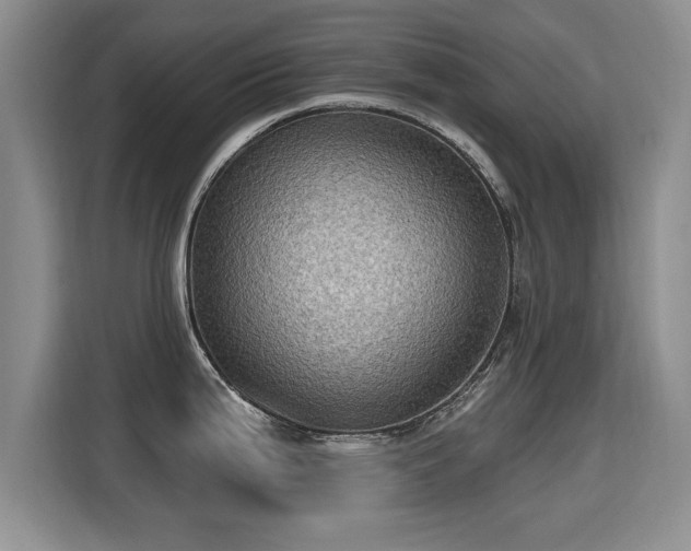 X0000115381199200911101300