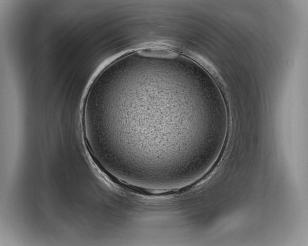 X0000115381200200911101300