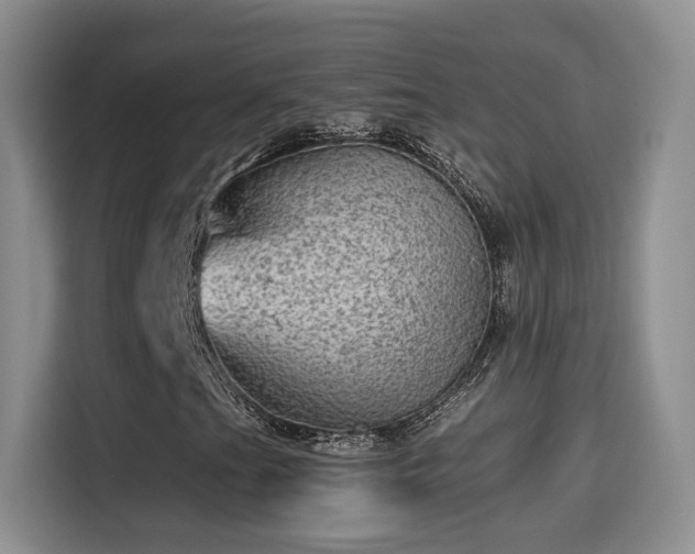 X0000115381201200911101259