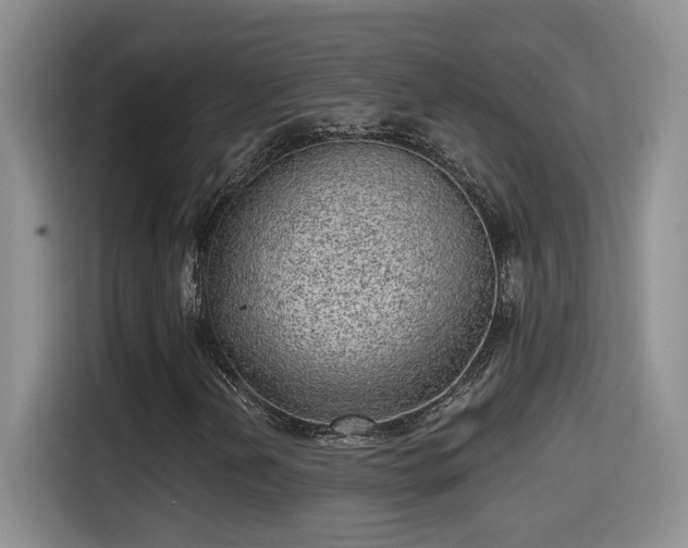 X0000115381202200911101259