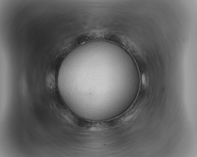 X0000115381203200911101259