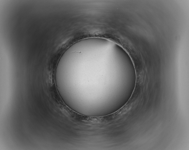 X0000115381205200911101259