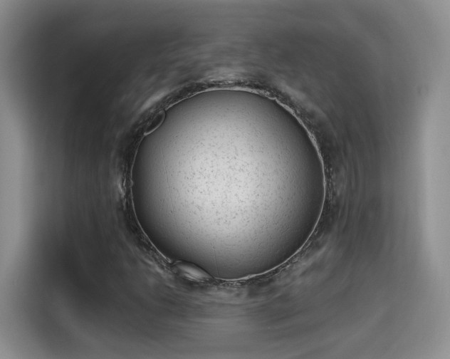 X0000115381206200911101259
