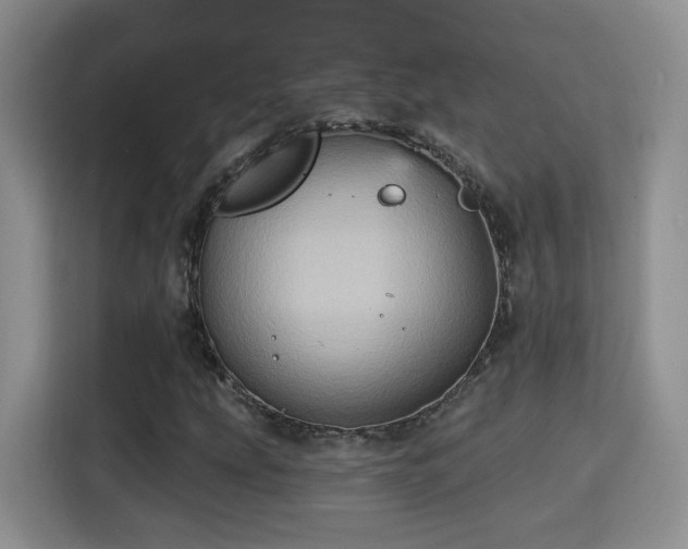 X0000115381207200911101259