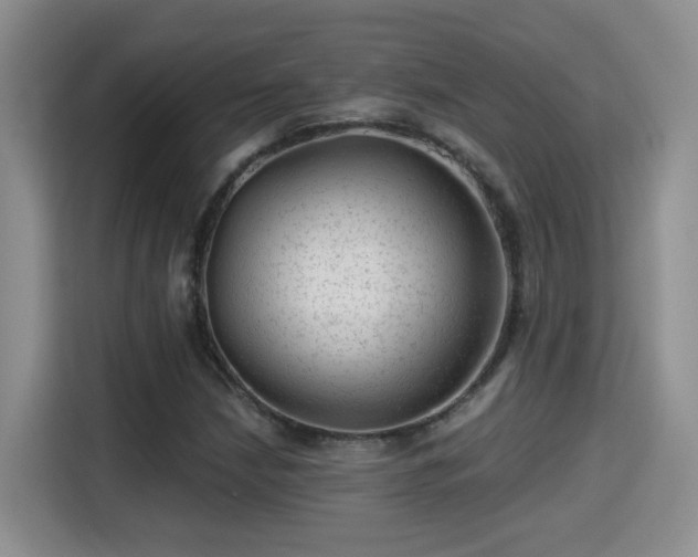 X0000115381210200911101259