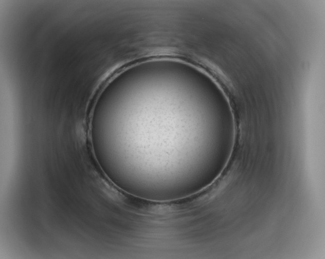 X0000115381212200911101259