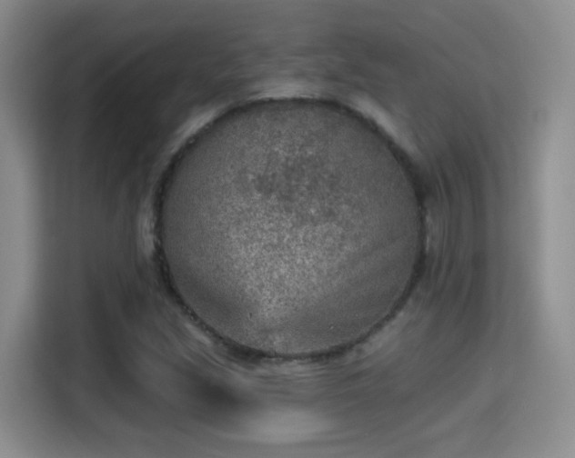 X0000115381213200911101259