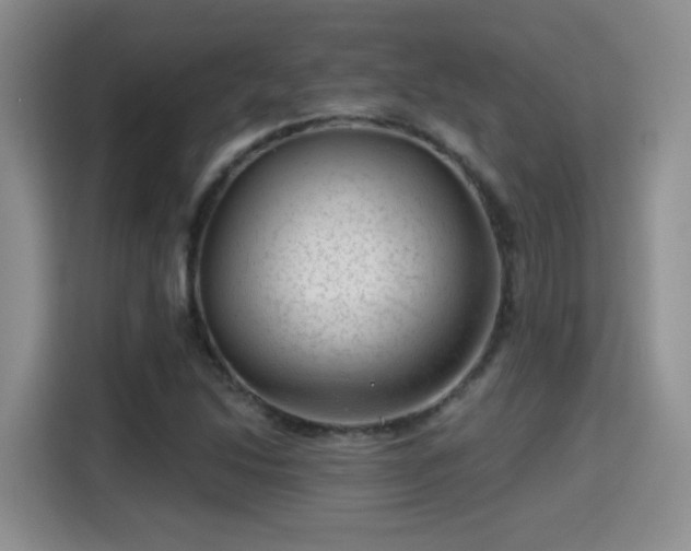 X0000115381214200911101259