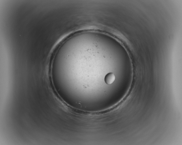 X0000115381216200911101300