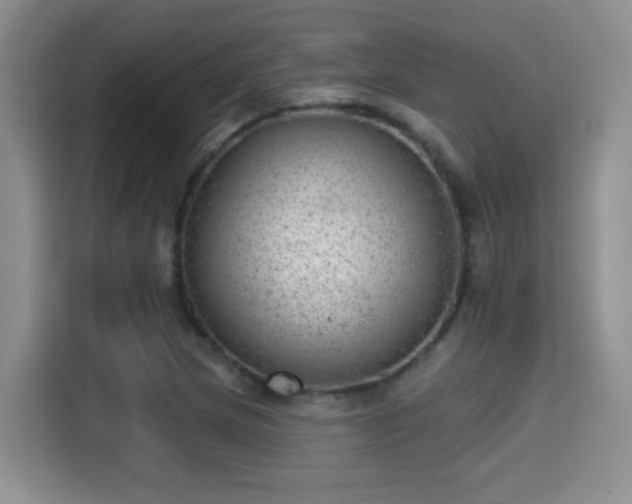X0000115381217200911101300