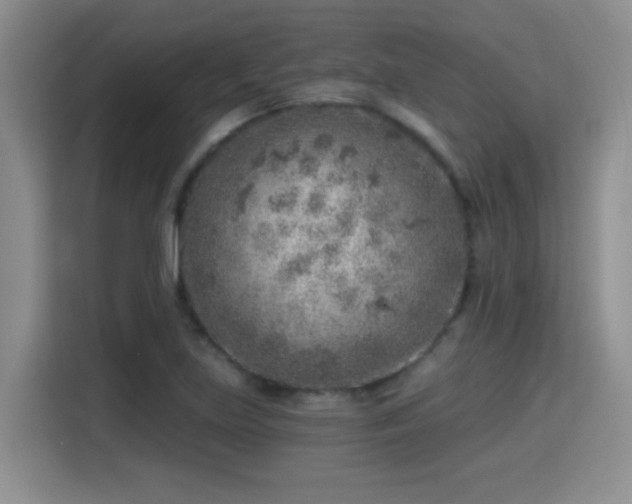 X0000115381219200911101300