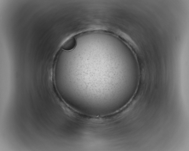 X0000115381220200911101300