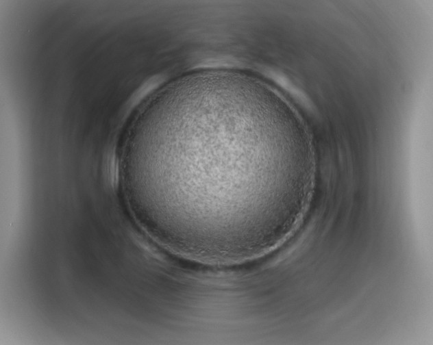 X0000115381221200911101300