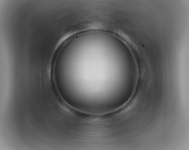 X0000115381222200911101300