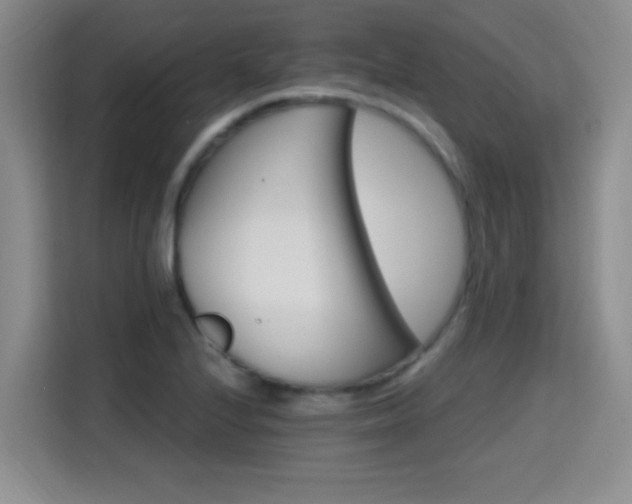 X0000115381224200911101300