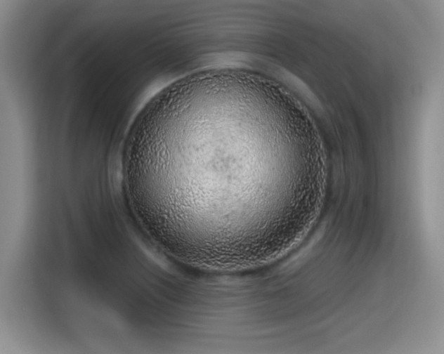 X0000115381226200911101300