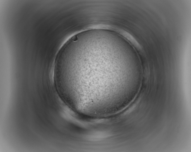 X0000115381228200911101300