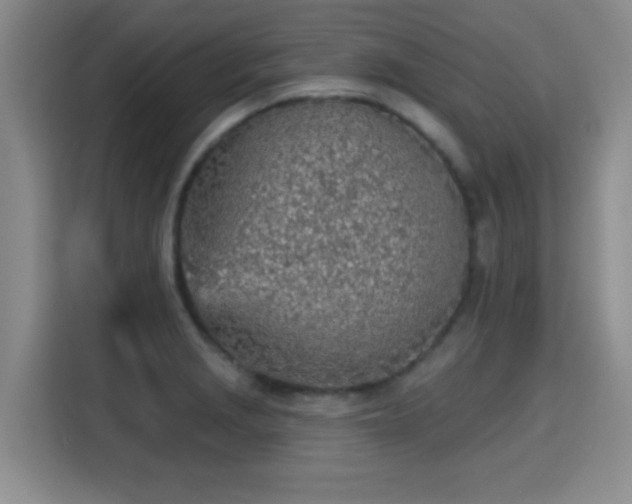 X0000115381229200911101300