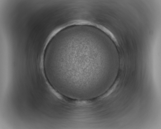 X0000115381231200911101300