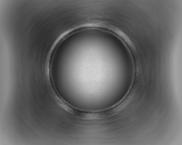 X0000115381232200911101300