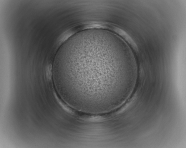 X0000115381233200911101300