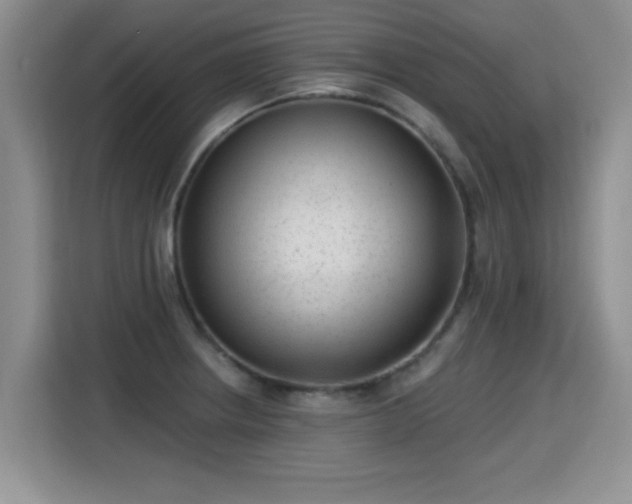 X0000115381234200911101300