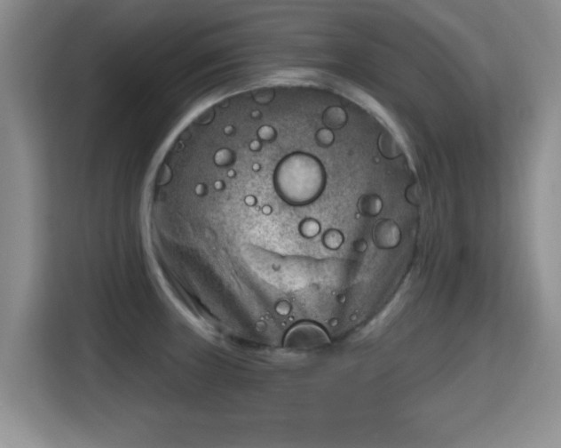 X0000115381235200911101300
