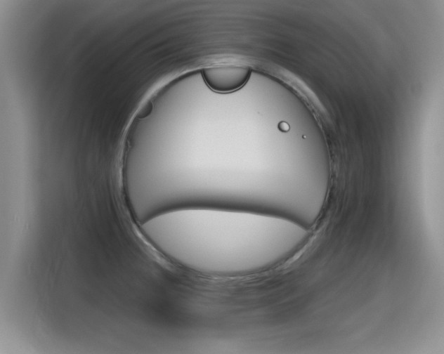 X0000115381236200911101300