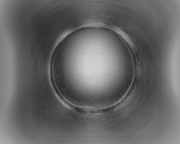 X0000115381237200911101300