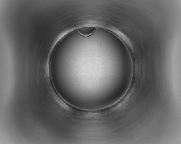 X0000115381238200911101300