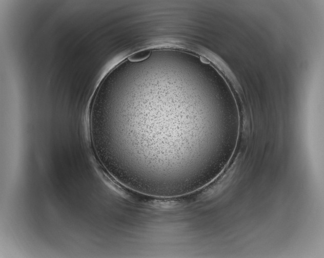 X0000115381242200911101300