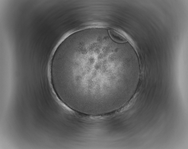 X0000115381243200911101300