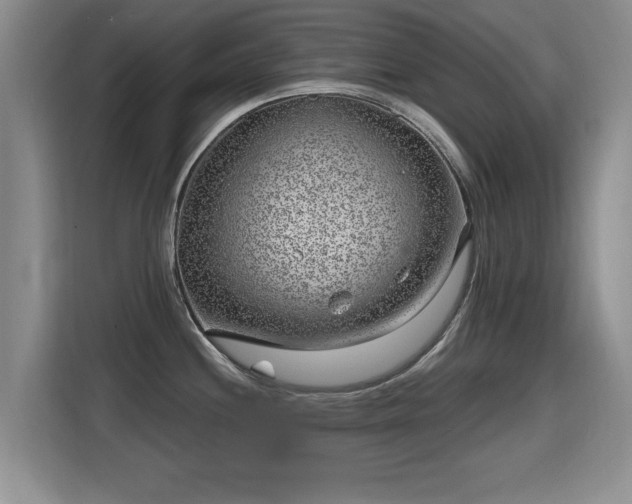 X0000115381244200911101300